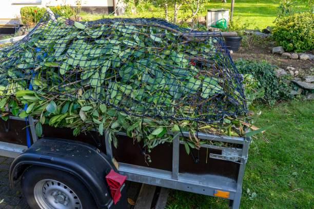 Best Construction Debris Removal  in Greene, IA